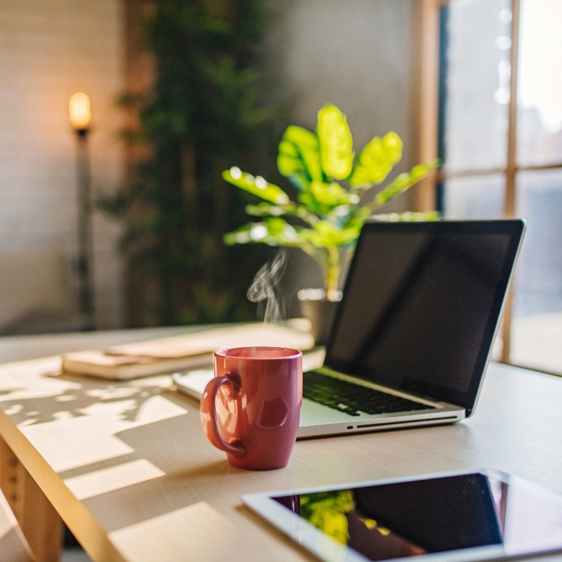 Plantes pour le bureau