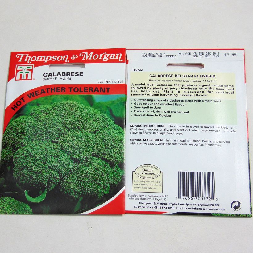 Example of Chou Brocoli Belstar F1 per pack of 50 seeds as you get