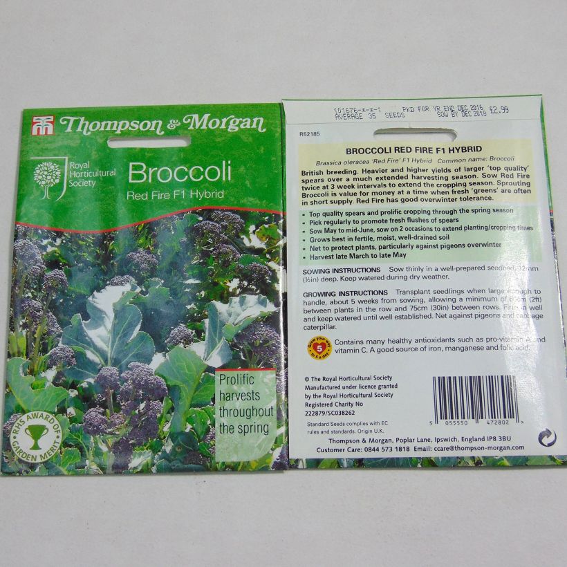 Example of Chou Brocoli Red Fire F1 per pack of 35 seeds as you get