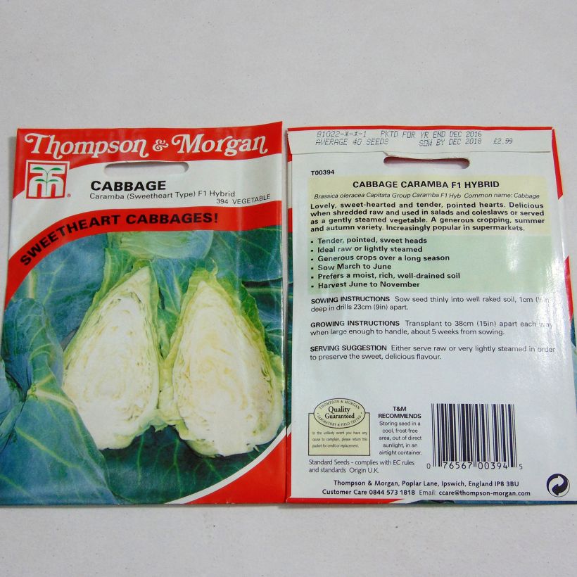 Example of Chou Cabus Caramba F1 per pack of 40 seeds as you get