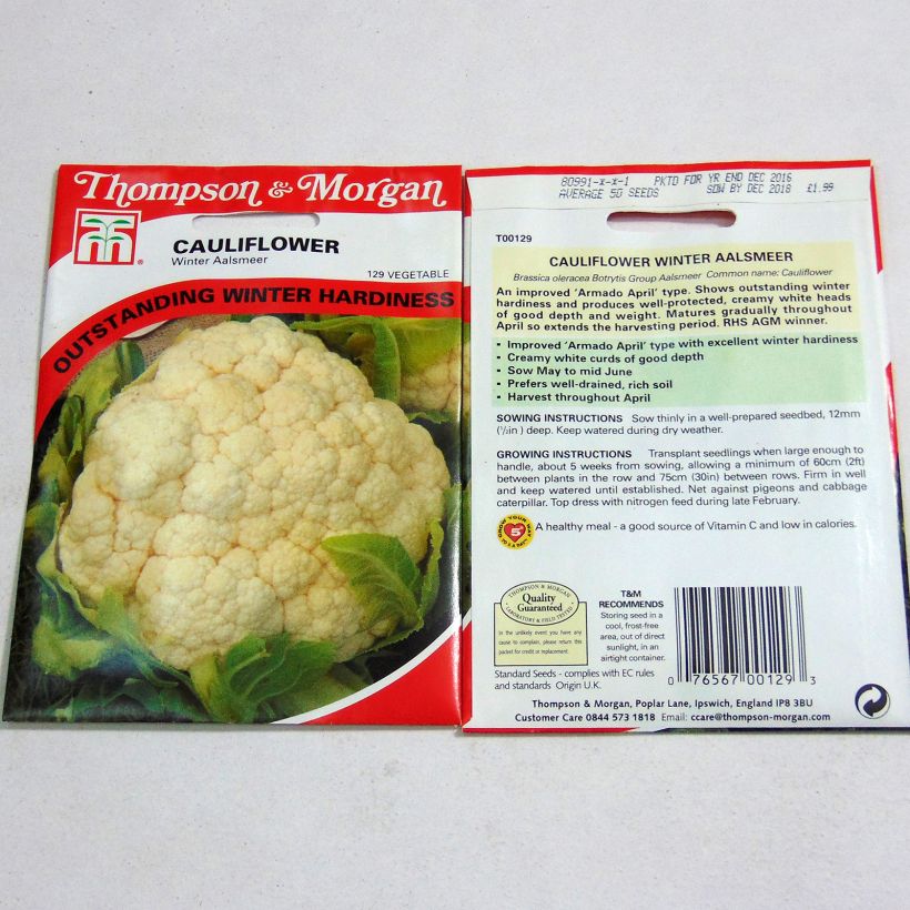 Example of Chou-Fleur Winter Aalsmeer per pack of 50 seeds as you get