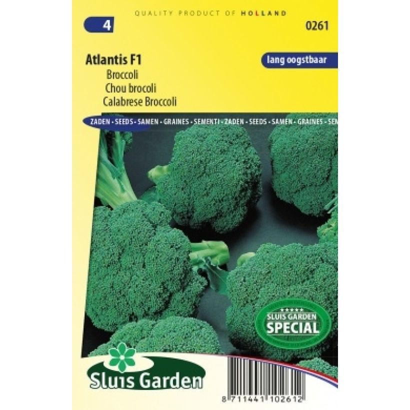 Example of Chou brocoli Atlantis F1 NT Graines as you get