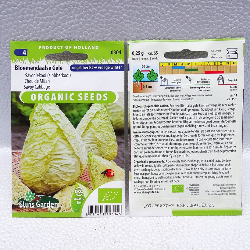 Example of Chou de Milan Bloemendaalse Gele Bio per pack of 65 seeds (0,25g) as you get