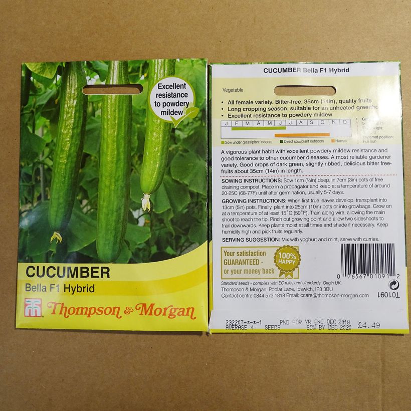 Example of Concombre Bella F1 - Cucumis sativus per pack of 4 seeds as you get