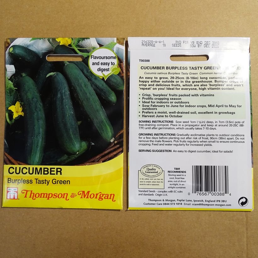 Example of Concombre Burpless Tasty Green - Cucumis sativus per pack of 10 seeds as you get