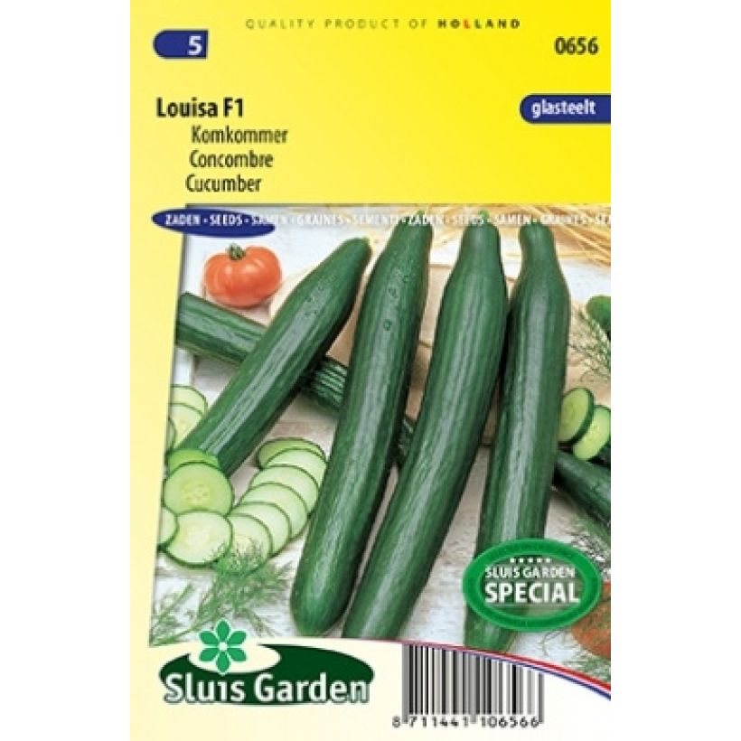 Example of Concombre Louisa F1 - Graines per pack of 7 seeds as you get