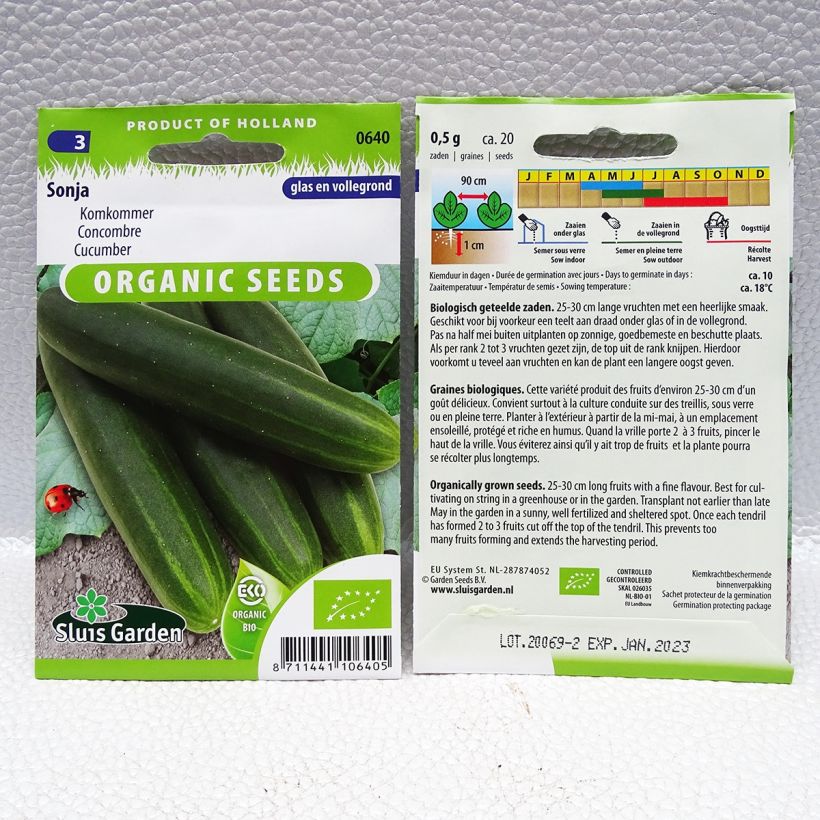 Example of Concombre Sonja Bio - Cucumis sativus per pack of 30 seeds (1g) as you get