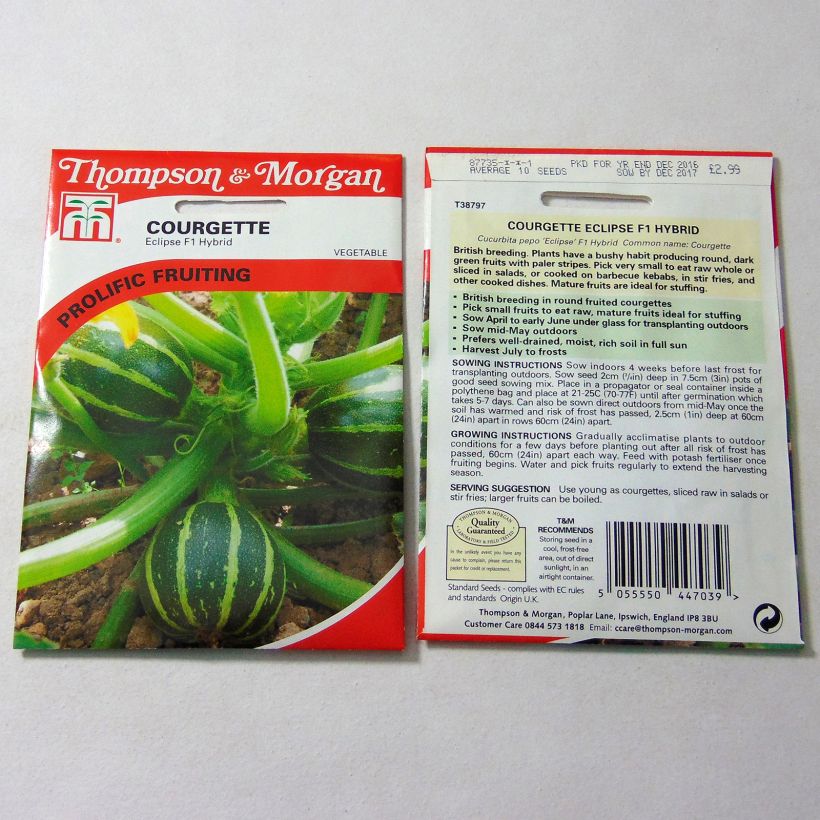 Example of Courgette Eclipse F1  per pack of 10 seeds as you get