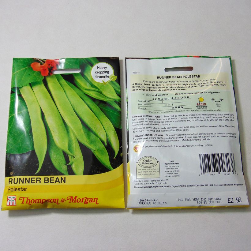 Example of Haricot d'Espagne Polestar - Haricot-fleur per pack of 40 seeds as you get