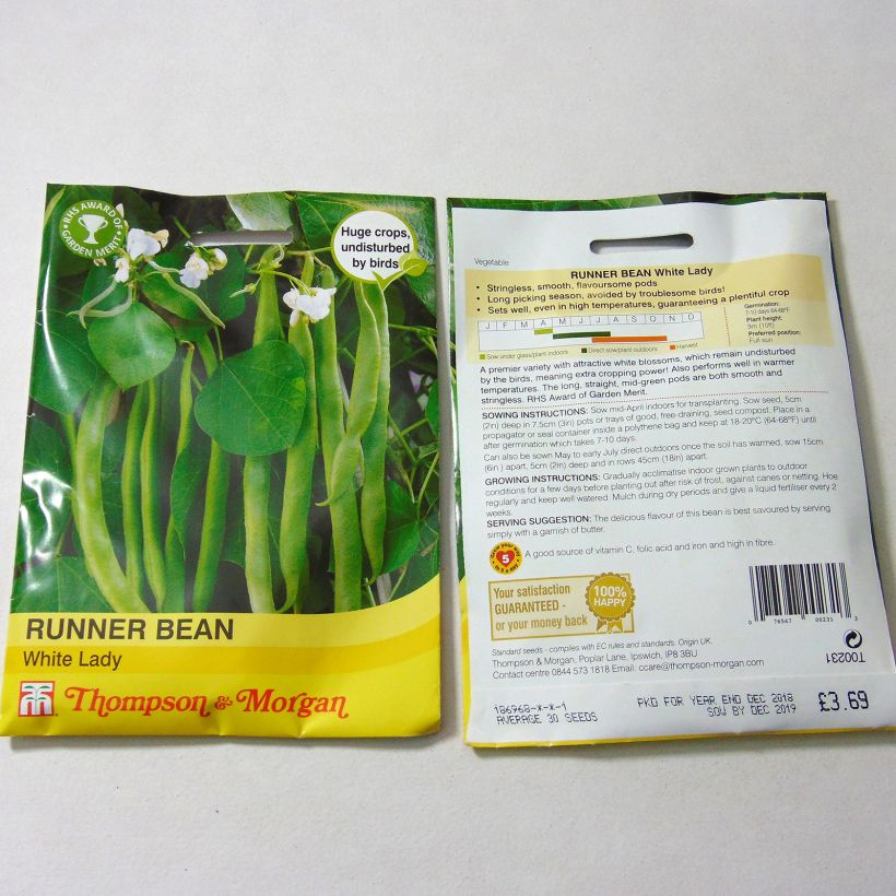 Example of Haricot d'Espagne White Lady - Haricot-fleur per pack of 30 seeds as you get