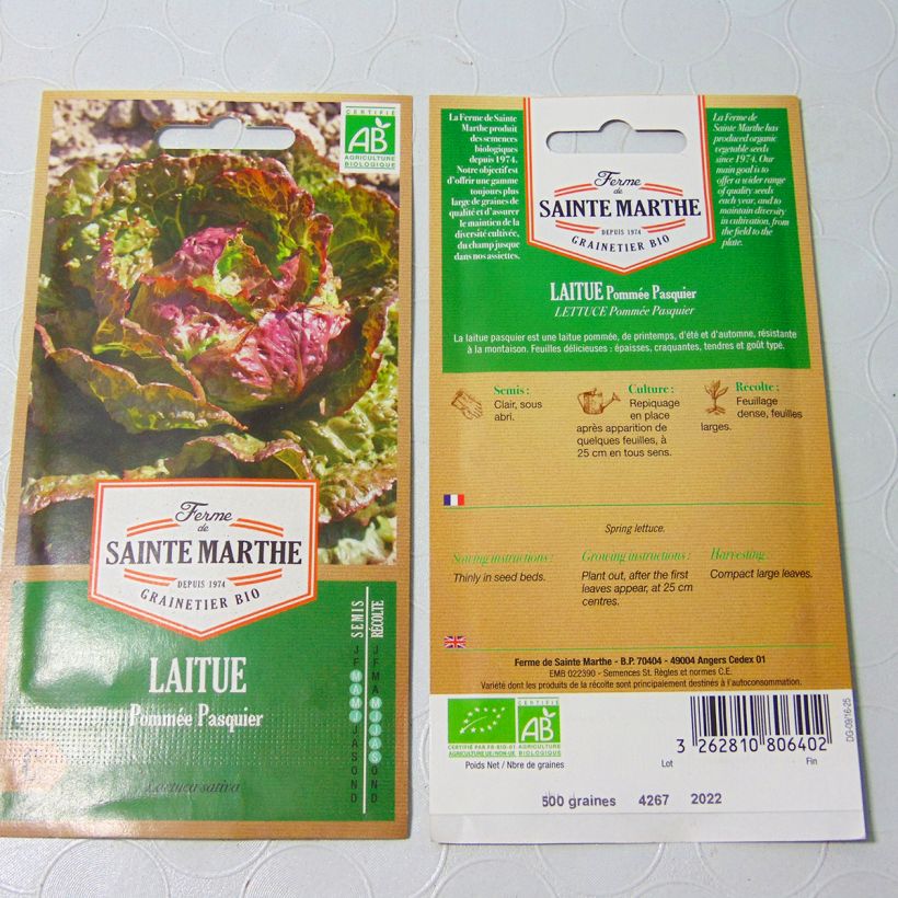 Example of Laitue pommée Pasquier Bio - Ferme de Sainte Marthe per pack of 600 seeds as you get