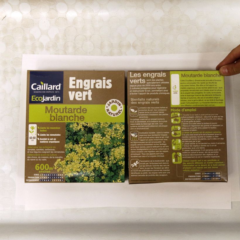 Example of Moutarde blanche - Engrais vert - Boîte 600 m² Graines as you get