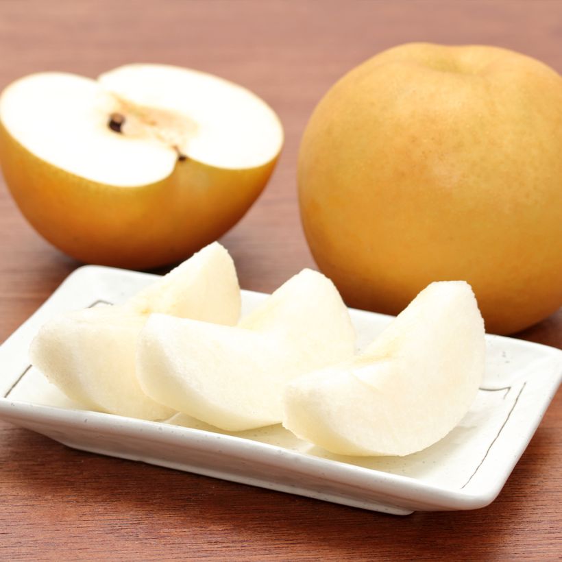 Nashi Niitaka - Pomme-poire (Harvest)
