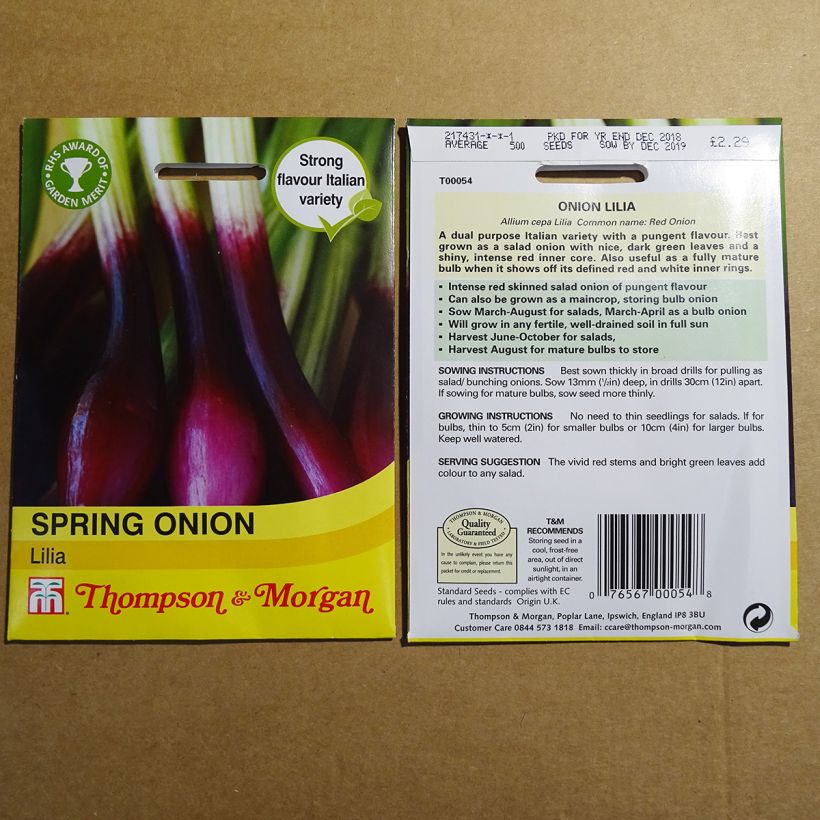 Example of Oignon rouge de printemps Lilia - Allium cepa per pack of 500 seeds as you get