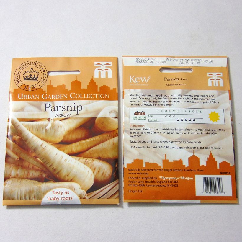 Example of Panais Arrow - Pastinaca sativa per pack of 100 seeds as you get