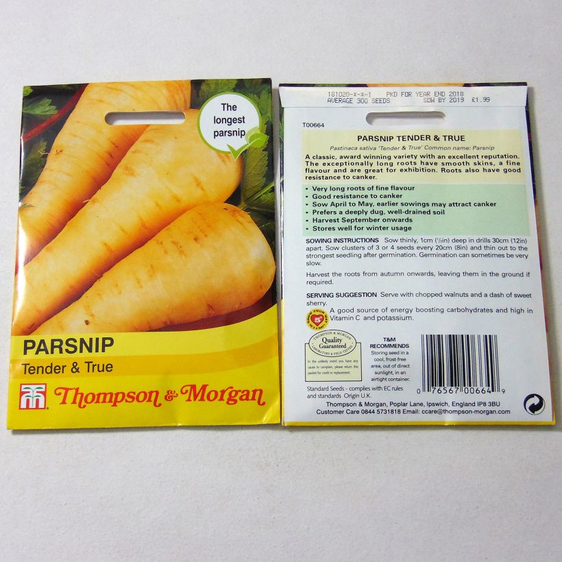 Example of Panais Tender And True - Pastinaca sativa per pack of 550 seeds as you get