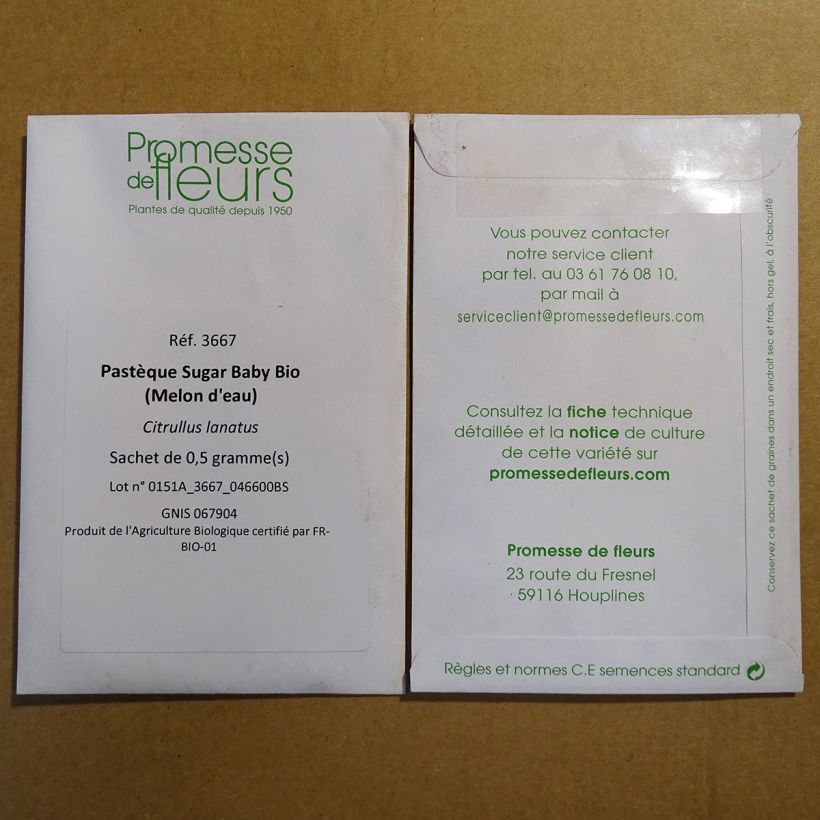 Example of Pastèque Sugar Baby Bio (Melon d'eau) - Citrullus lanatus per pack of 20 seeds (1g) as you get