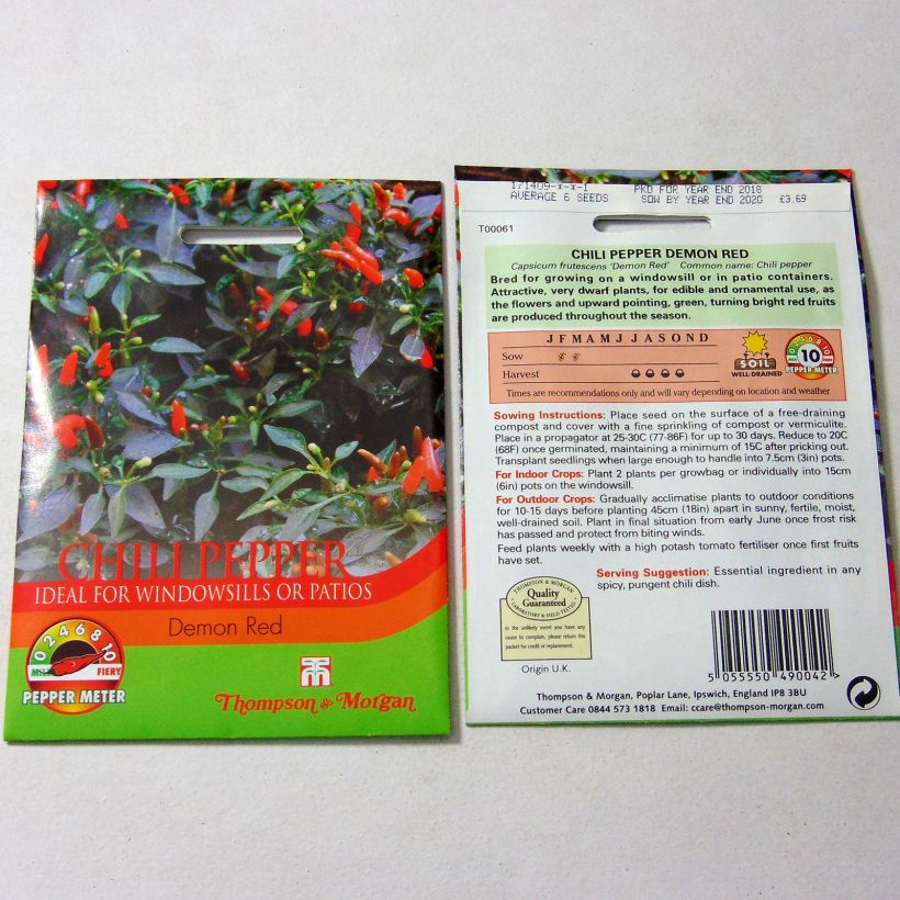 Example of Piment Demon Red - Capsicum annuum per pack of 8 seeds as you get