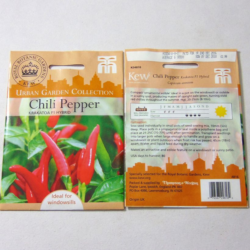 Example of Piment Krakatoa - Capsicum annuum per pack of 6 seeds as you get