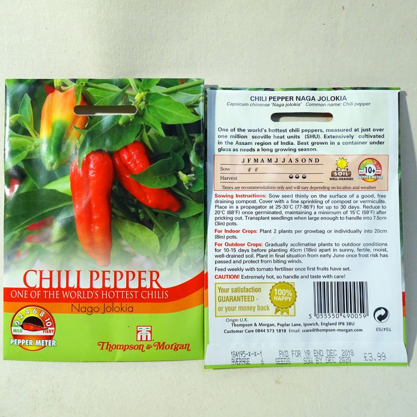 Example of Piment Naga Jolokia - Capsicum annuum per pack of 6 seeds as you get