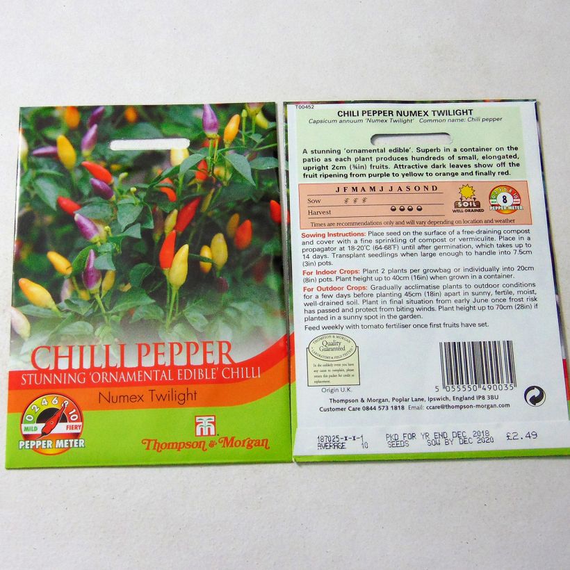 Example of Piment Numex Twilight - Capsicum annuum per pack of 10 seeds as you get