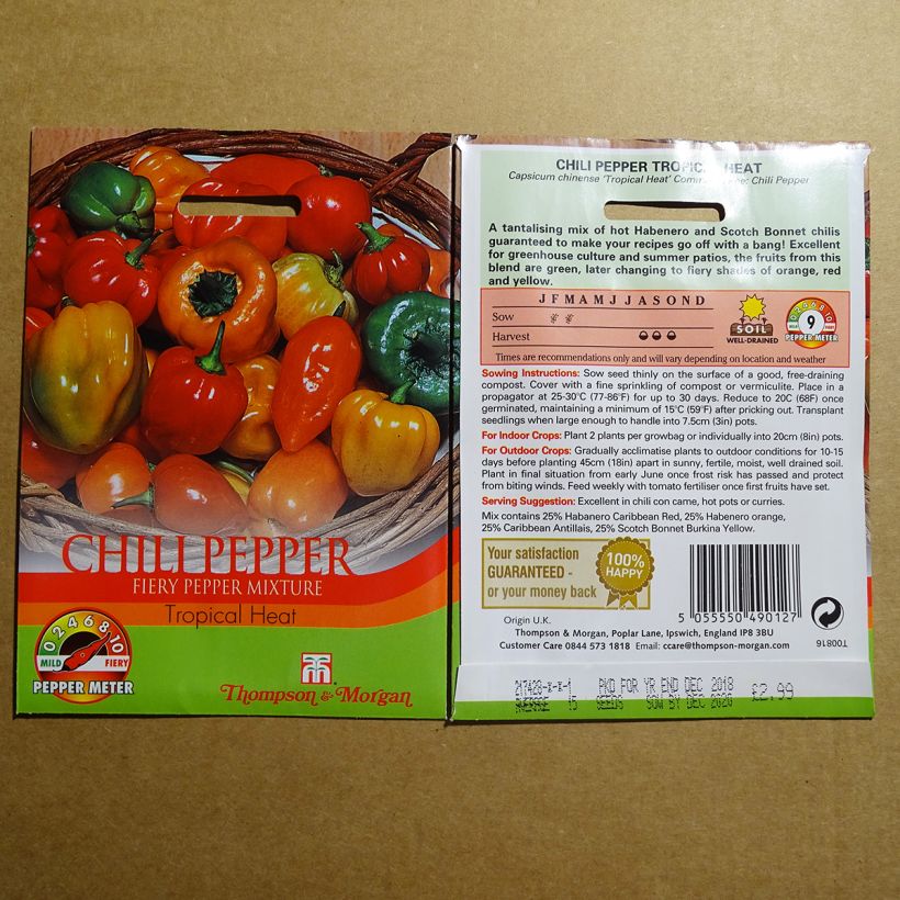 Example of Piment Tropical Heat - Capsicum annuum per pack of 20 seeds as you get