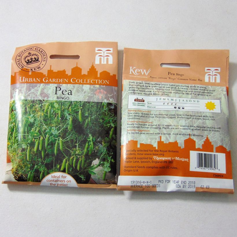Example of Pois demi-ramant Bingo per pack of 100 seeds as you get