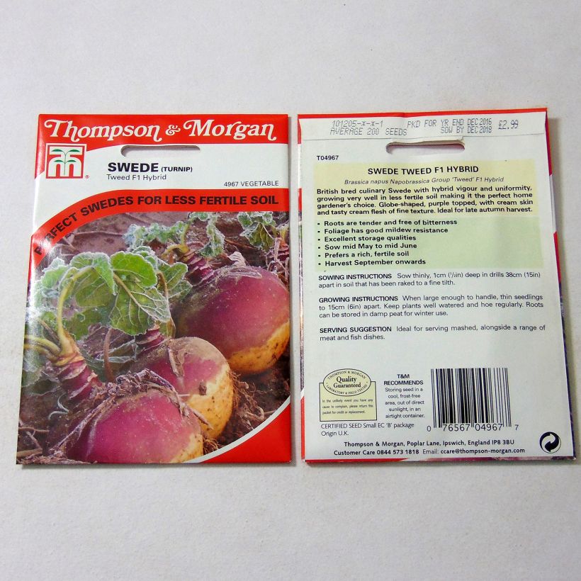 Example of Rutabaga Tweed per pack of 200 seeds as you get