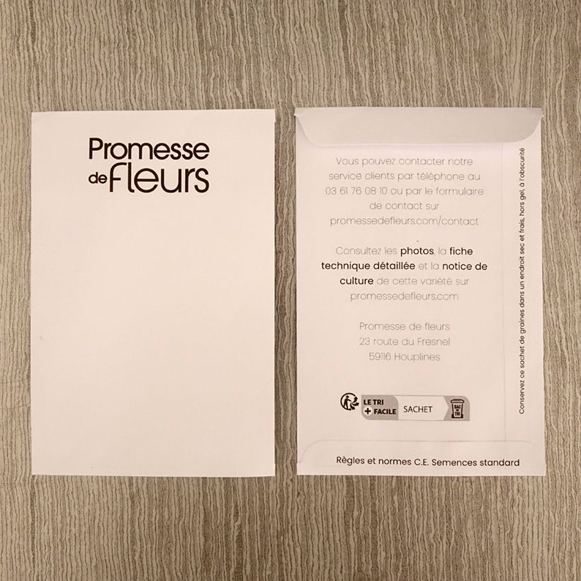 Example of Graines d'Amarante Queue-de-Renard Coral Fountain per pack of 550 seeds (0,5g) as you get