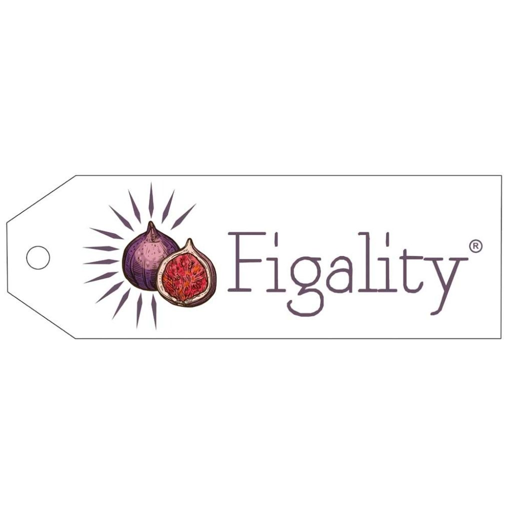 Figuier nain Figality - Ficus carica