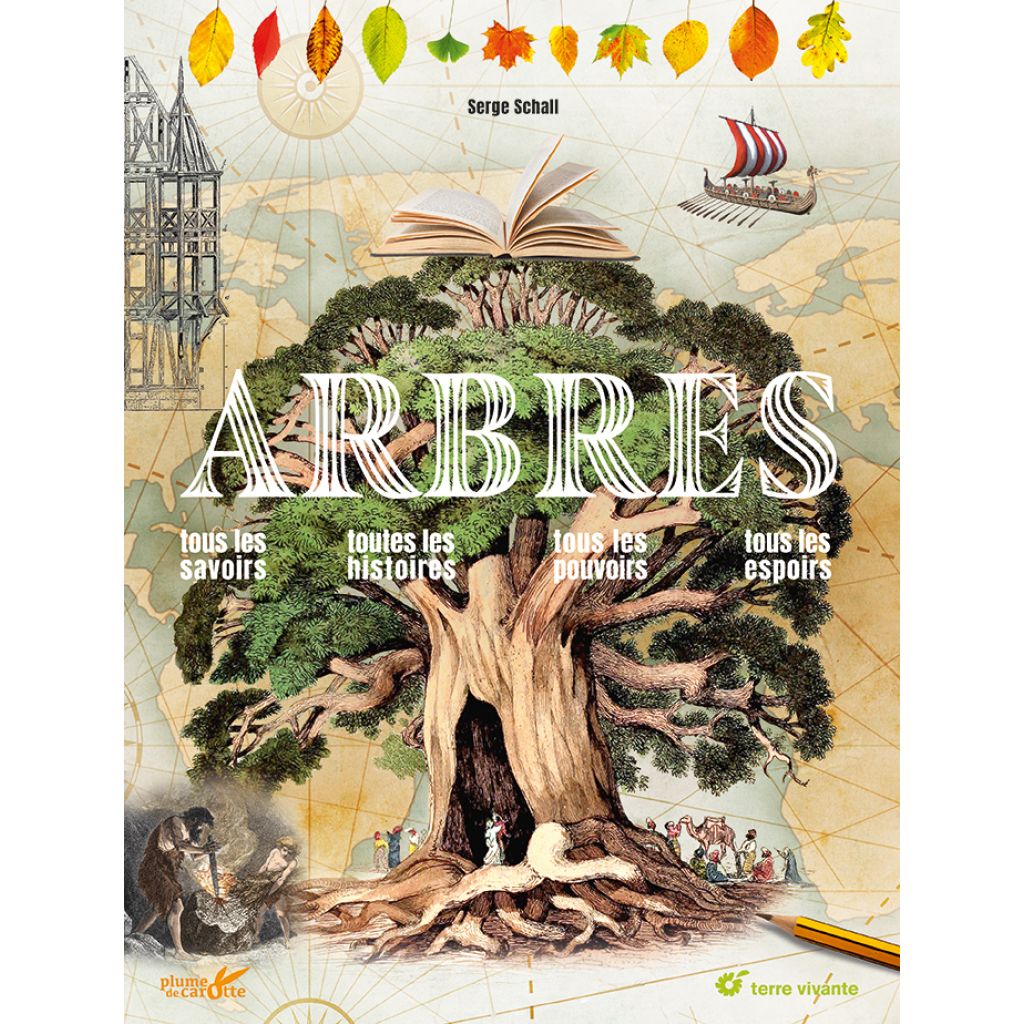 Arbres 