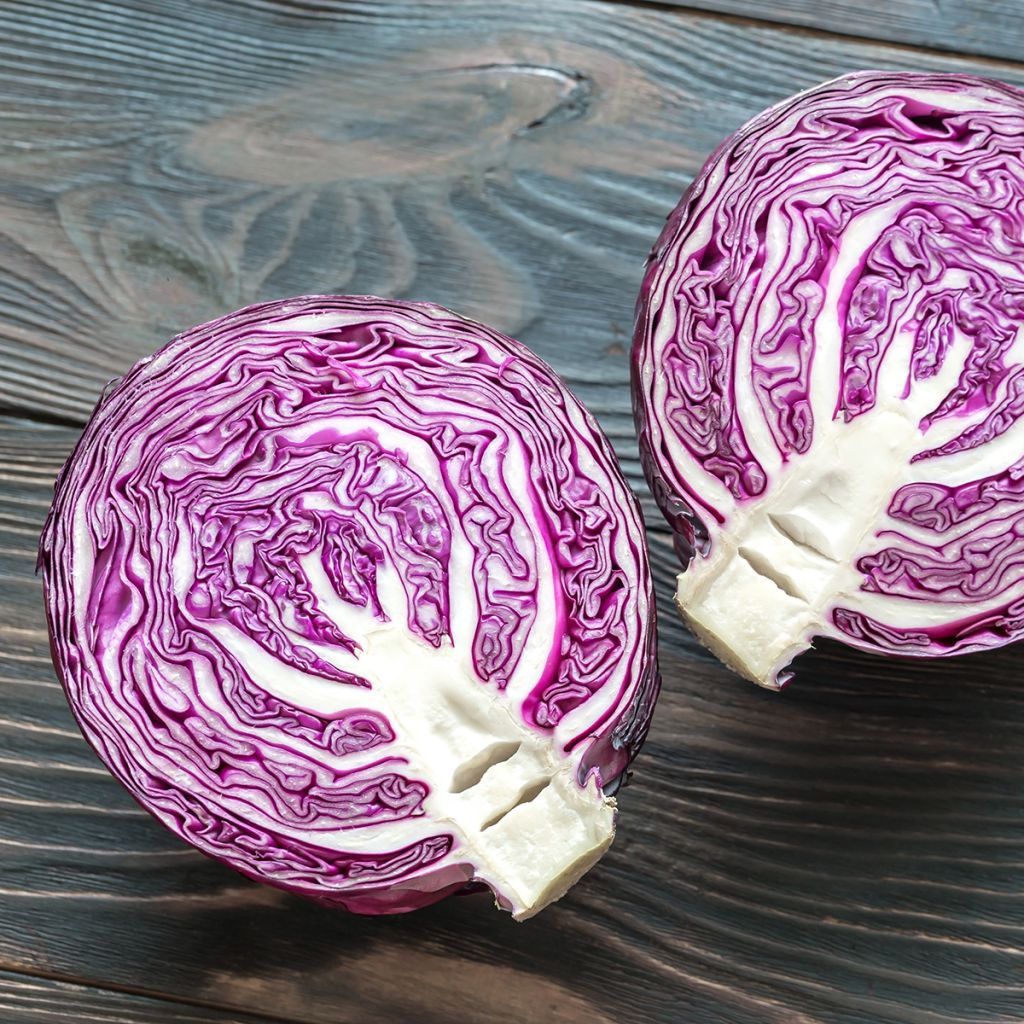 Chou Cabus Langedijker Bewaar 2 rouge