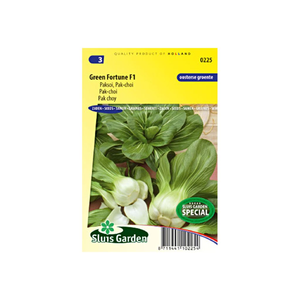 Chou de Chine Pak Choi Green Fortune F1 - Brassica campestris