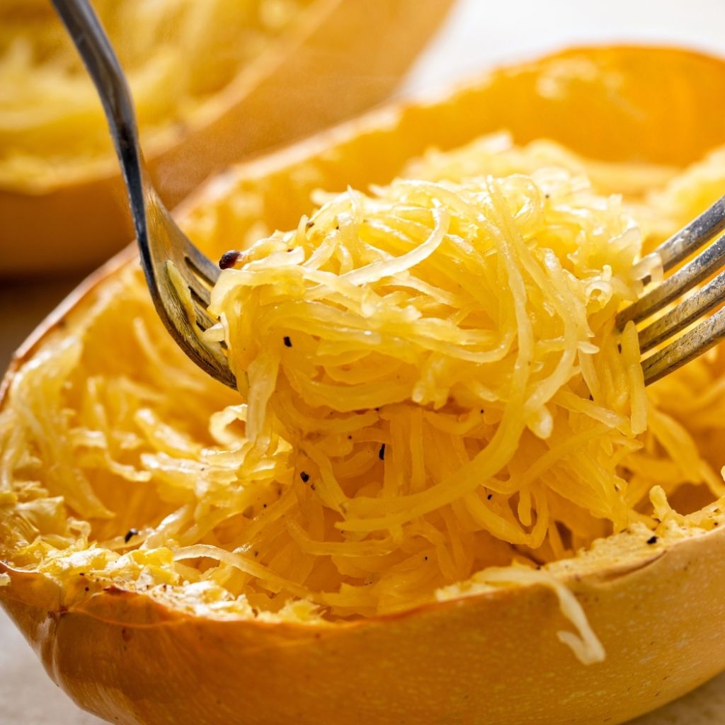 Courge Spaghetti végétal - Cucurbita pepo
