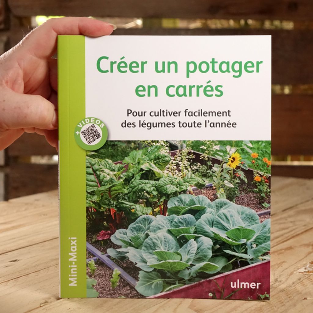 Créer un potager en carrés - Pour cultiver facilement des légumes toute l'année