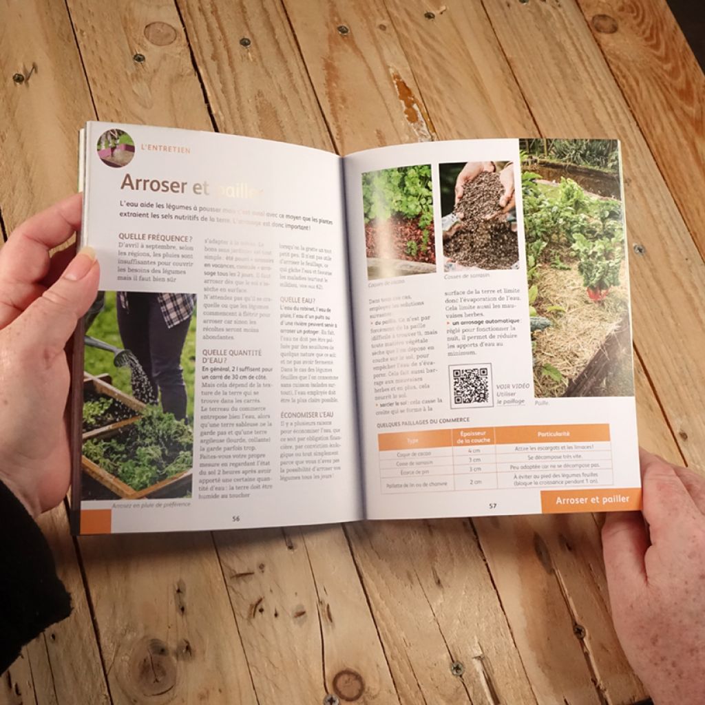 Créer un potager en carrés - Pour cultiver facilement des légumes toute l'année