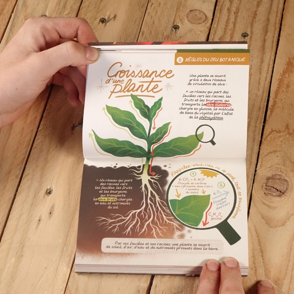Démarrer son potager
