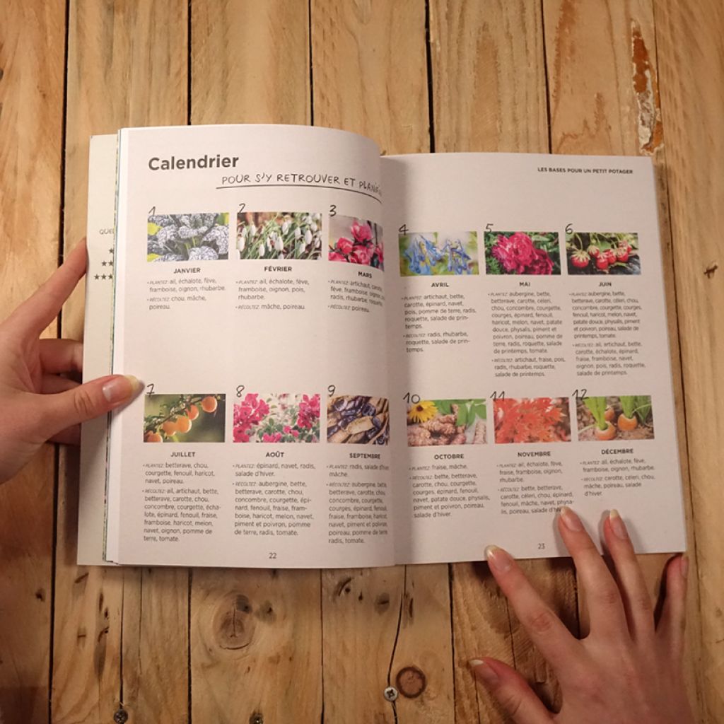 Guide du potager ultra-simple