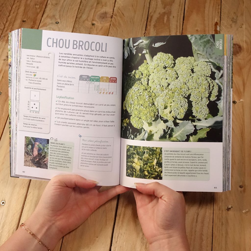 Guide pratique du potager en carrés - Tout pour planifier et cultiver