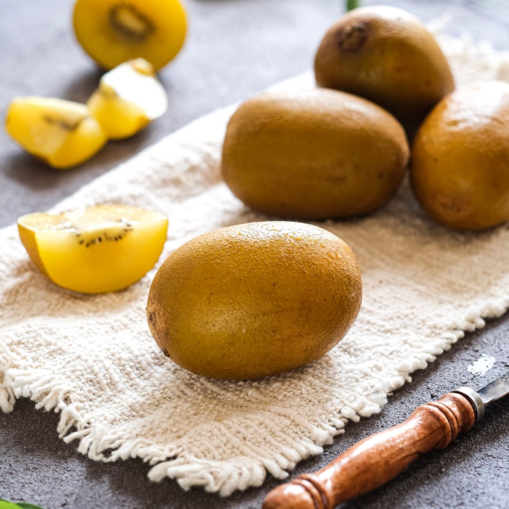 Kiwi jaune femelle - Actinidia deliciosa Kiwi Gold