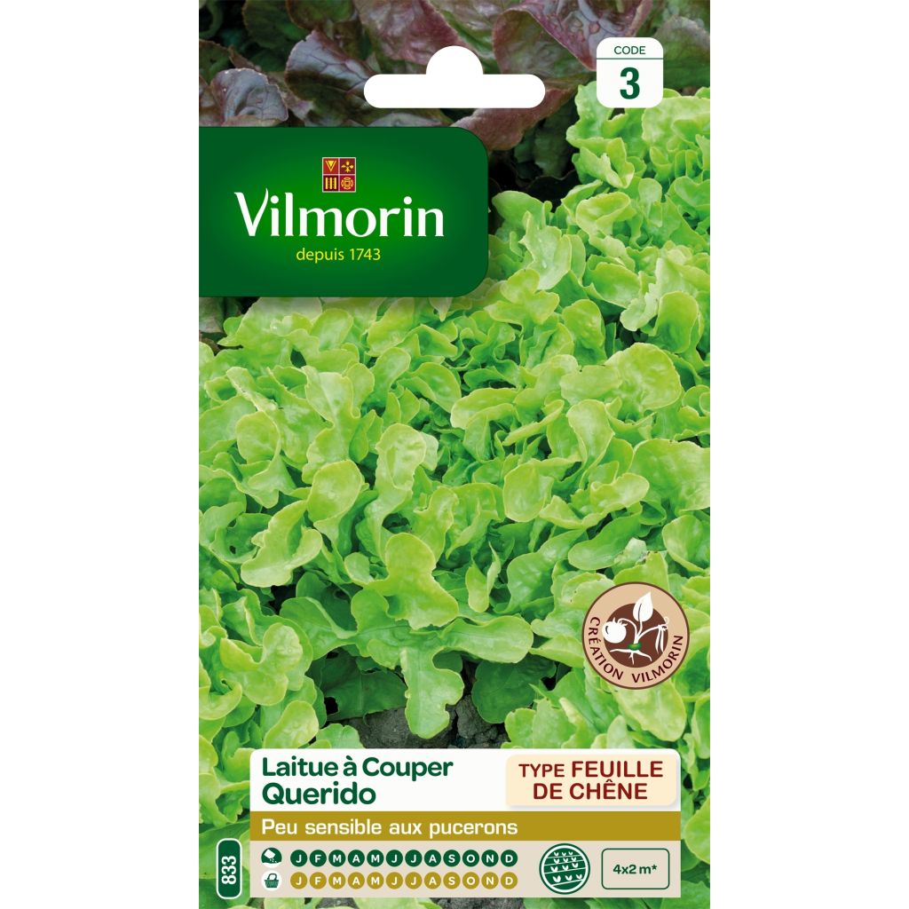 Laitue à couper Querido (Création Vilmorin) - Vilmorin