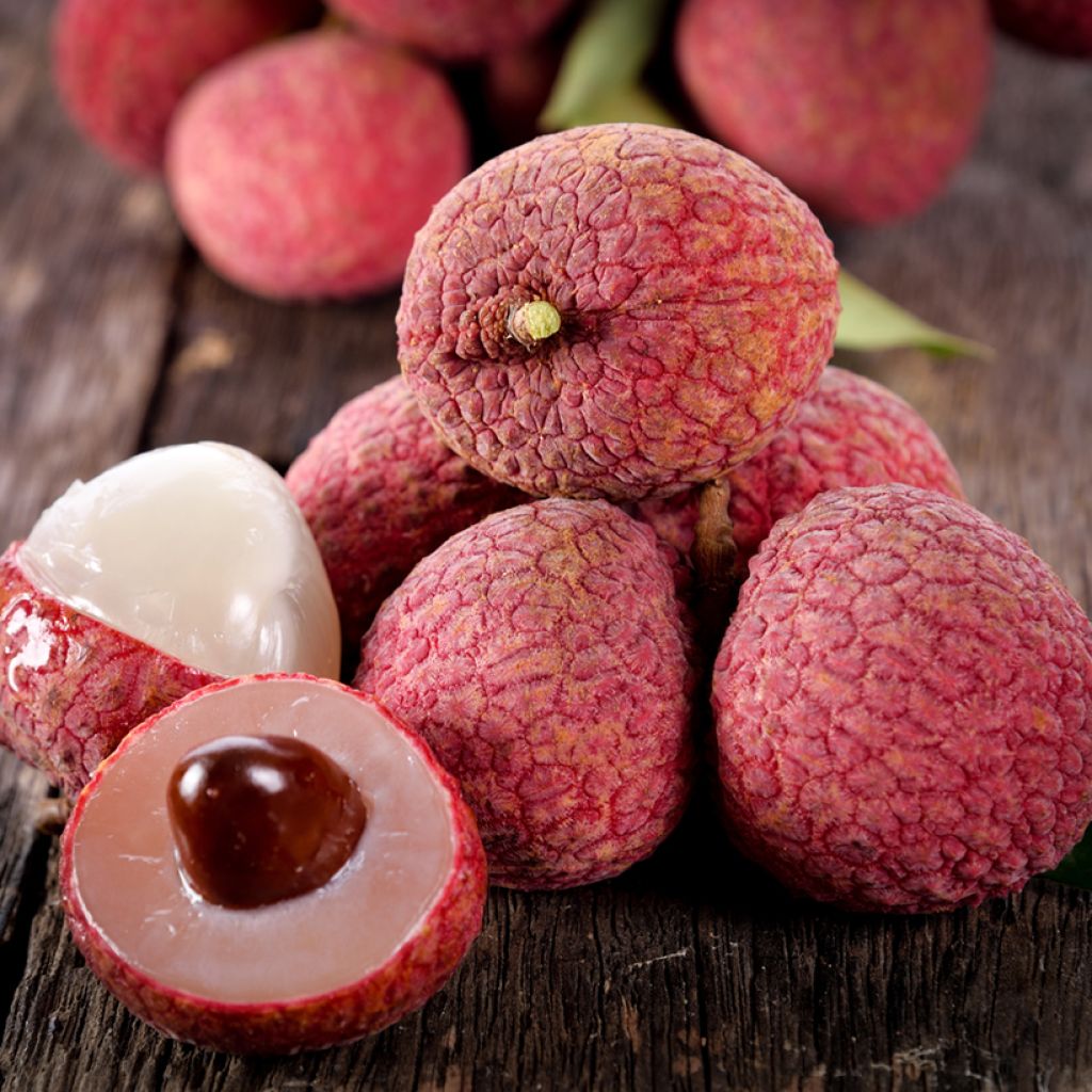 Litchi chinensis Kwai May Pink - Litchi rose