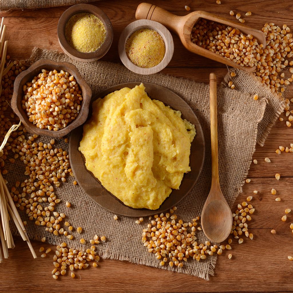 Maïs à polenta Mergoscia Bio - Ferme de Sainte Marthe