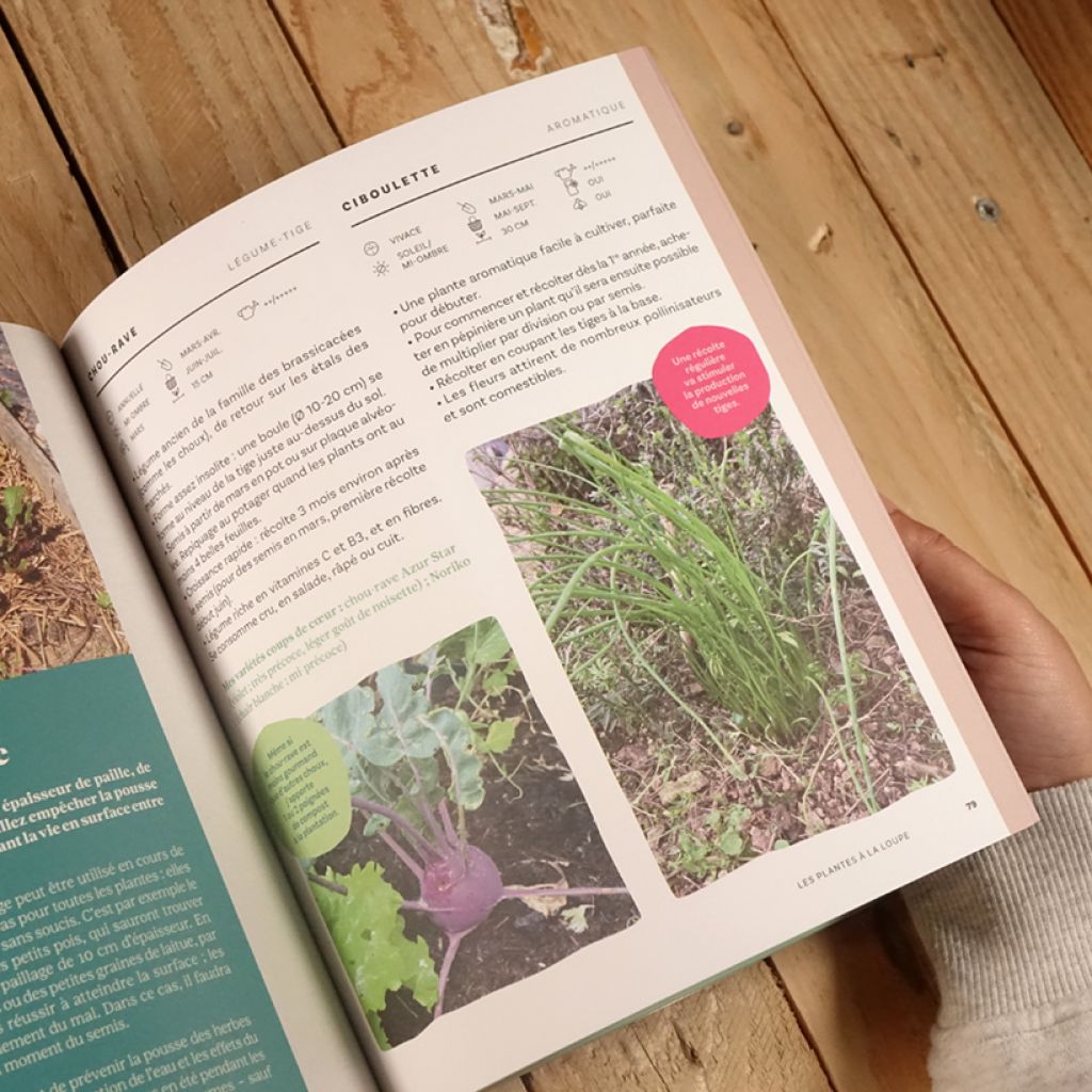 Mes premiers carrés potagers