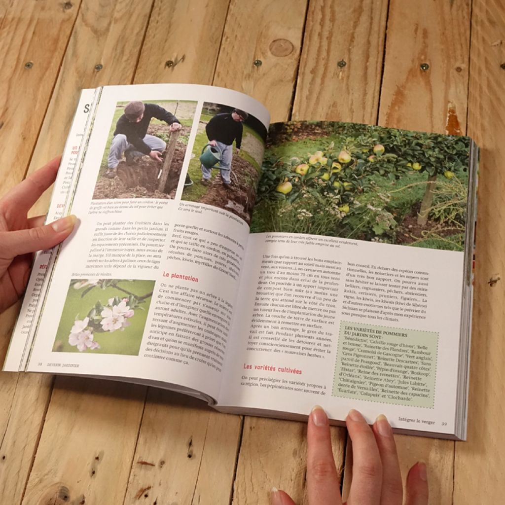 Le potager anti-crise - Faire des économies en cultivant ses légumes