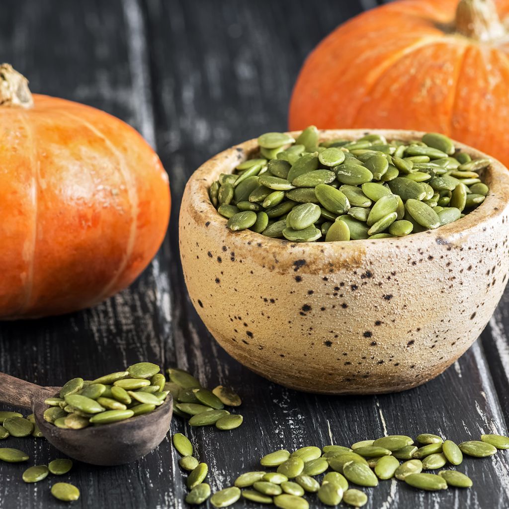 Potiron d'Halloween Jack O'Lantern - Cucurbita pepo