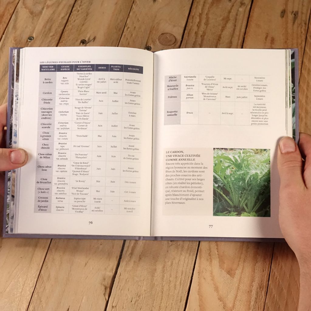 Produire des légumes en hiver - même sans abri