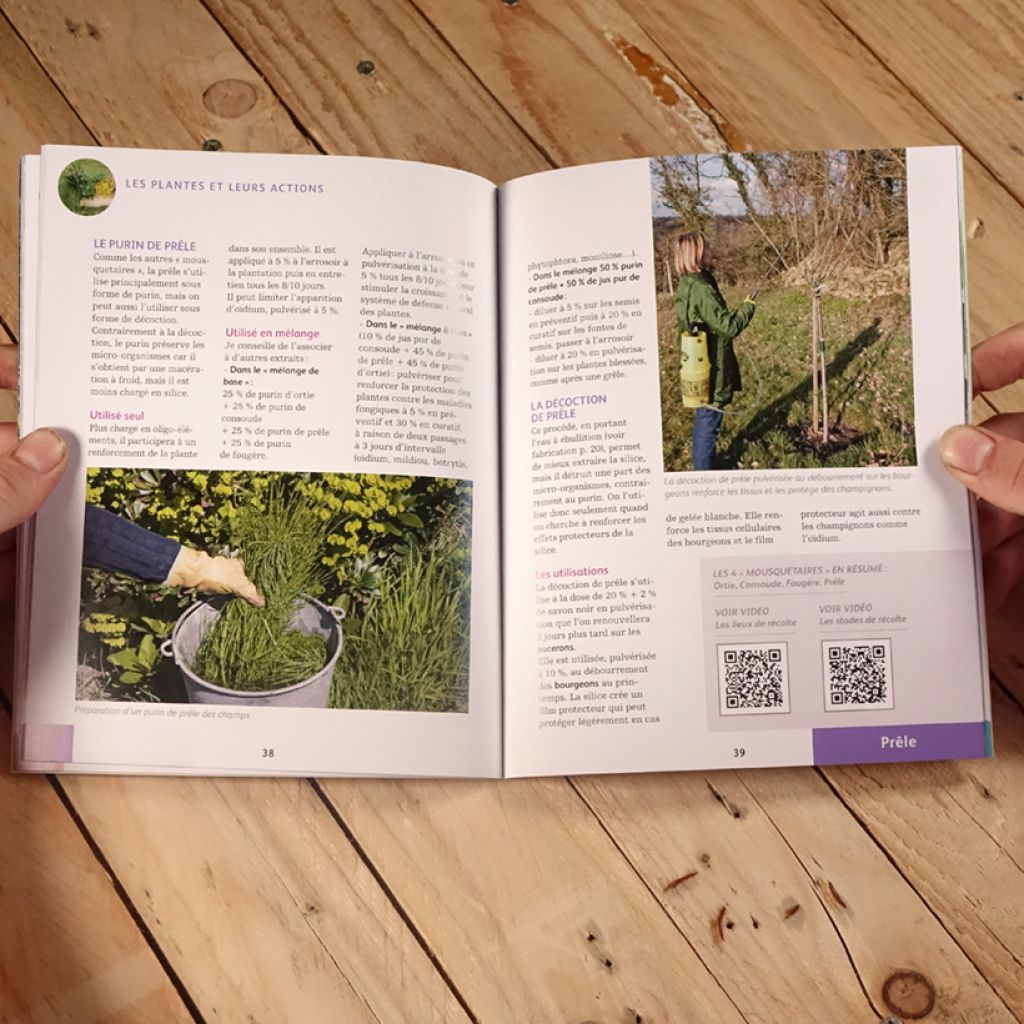 Purins d'orties et extraits végétaux. Les conseils d'un pro pour un jardin en forme
