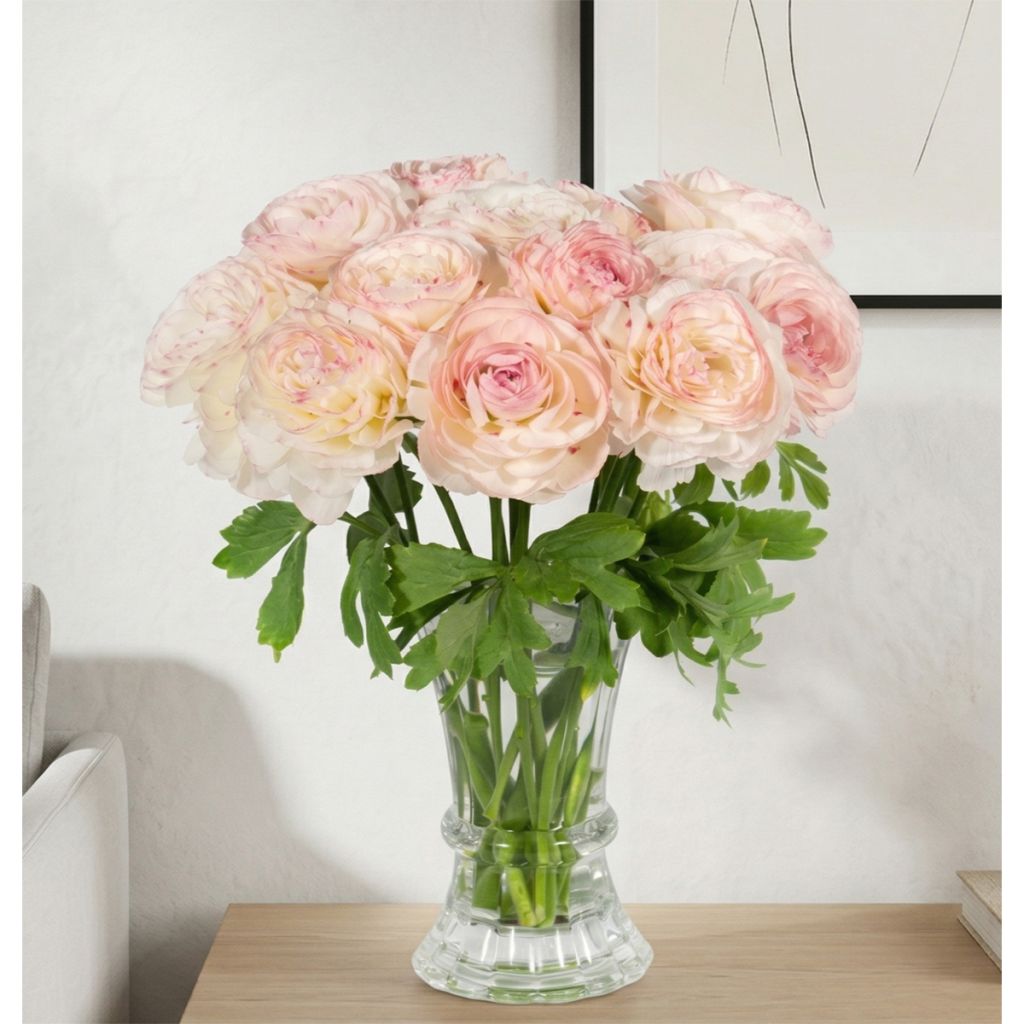 Renoncule des fleuristes Romance Orleans – Ranunculus asiaticus