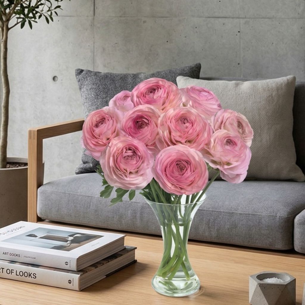 Renoncule des fleuristes Romance Seine – Ranunculus asiaticus